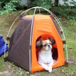 Style outdoor sun protection pet tent