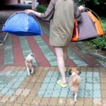 Style outdoor sun protection pet tent - 图片 2