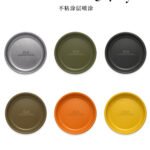 Colorful Small Dinner Dish (S Size)
